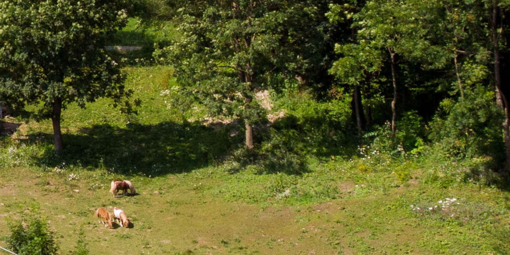 edenlanddoftana-ro-cabana-doftana-natura-atractii-Cascavea-1