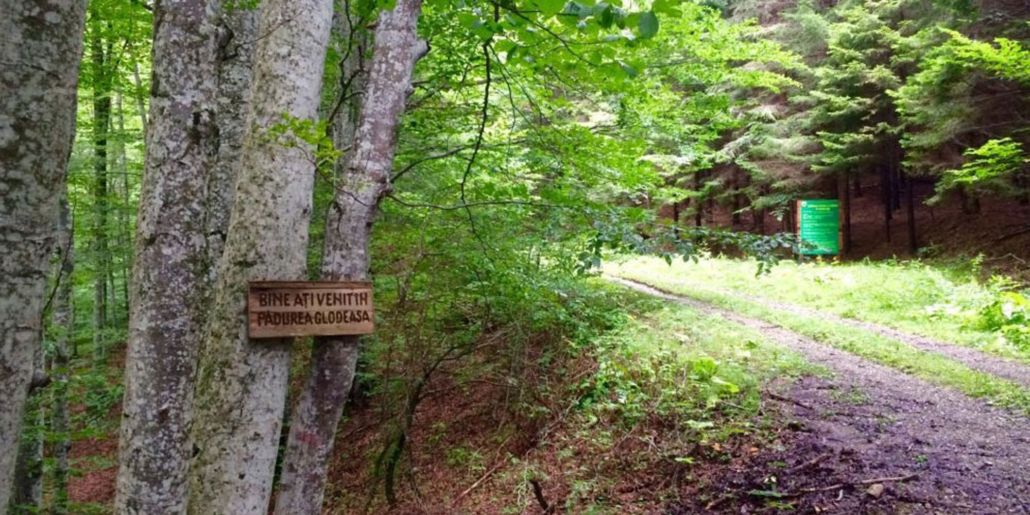 edenlanddoftana-ro-cabana-doftana-natura-atractii-Glodeasa-1