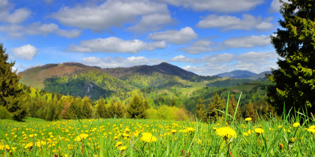 edenlanddoftana-ro-cabana-doftana-natura-atractii-Glodeasa-2